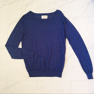 Skies are Blue Sparkle Sweater